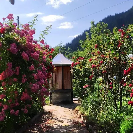 Maison d'hôtes затишок карпат *