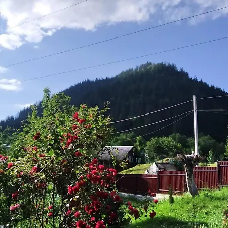 Maison d'hôtes затишок карпат Vygoda