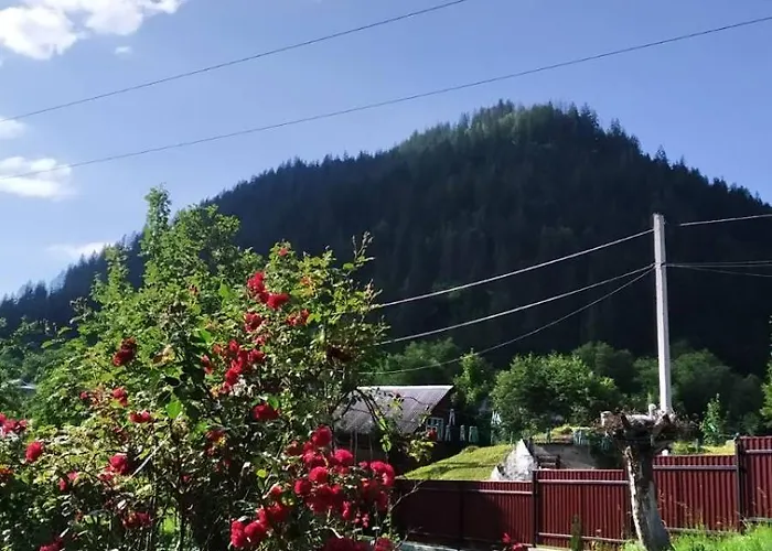 Penzion затишок карпат Vygoda
