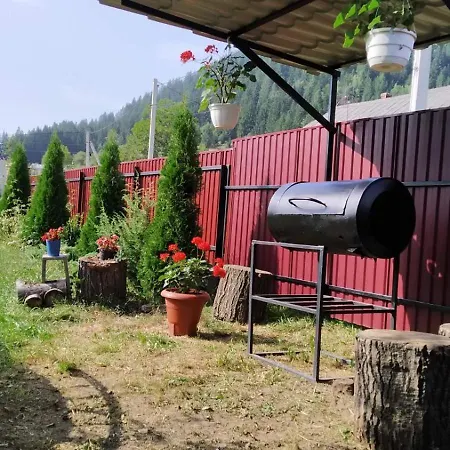 затишок карпат בית הארחה *